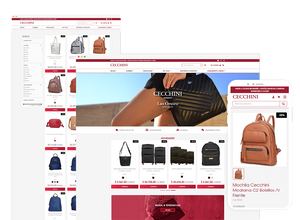 Optimizamos la tienda online de Cecchini sobre VTEX IO. Desarrollo con mejoras en UX y UI enfocado en la experiencia de compra de sus clientes.